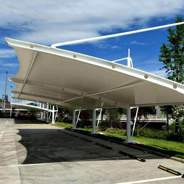 龙泉市膜结构汽车棚